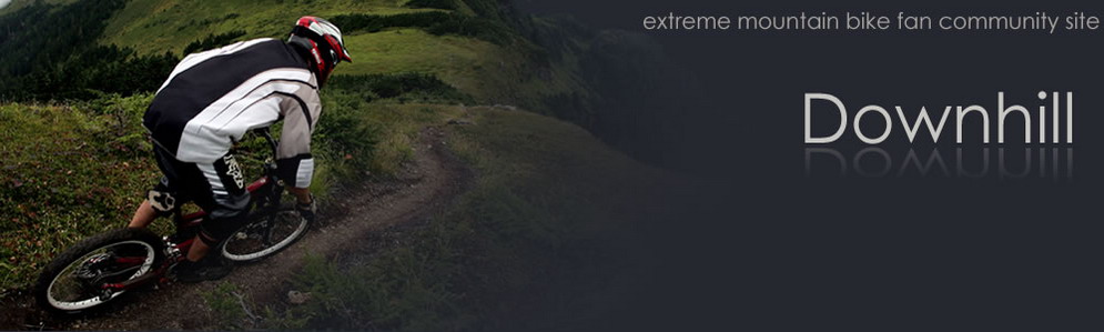 Downhill fan site logo
